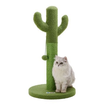 Krabpaal - cactus - 75 cm - groen